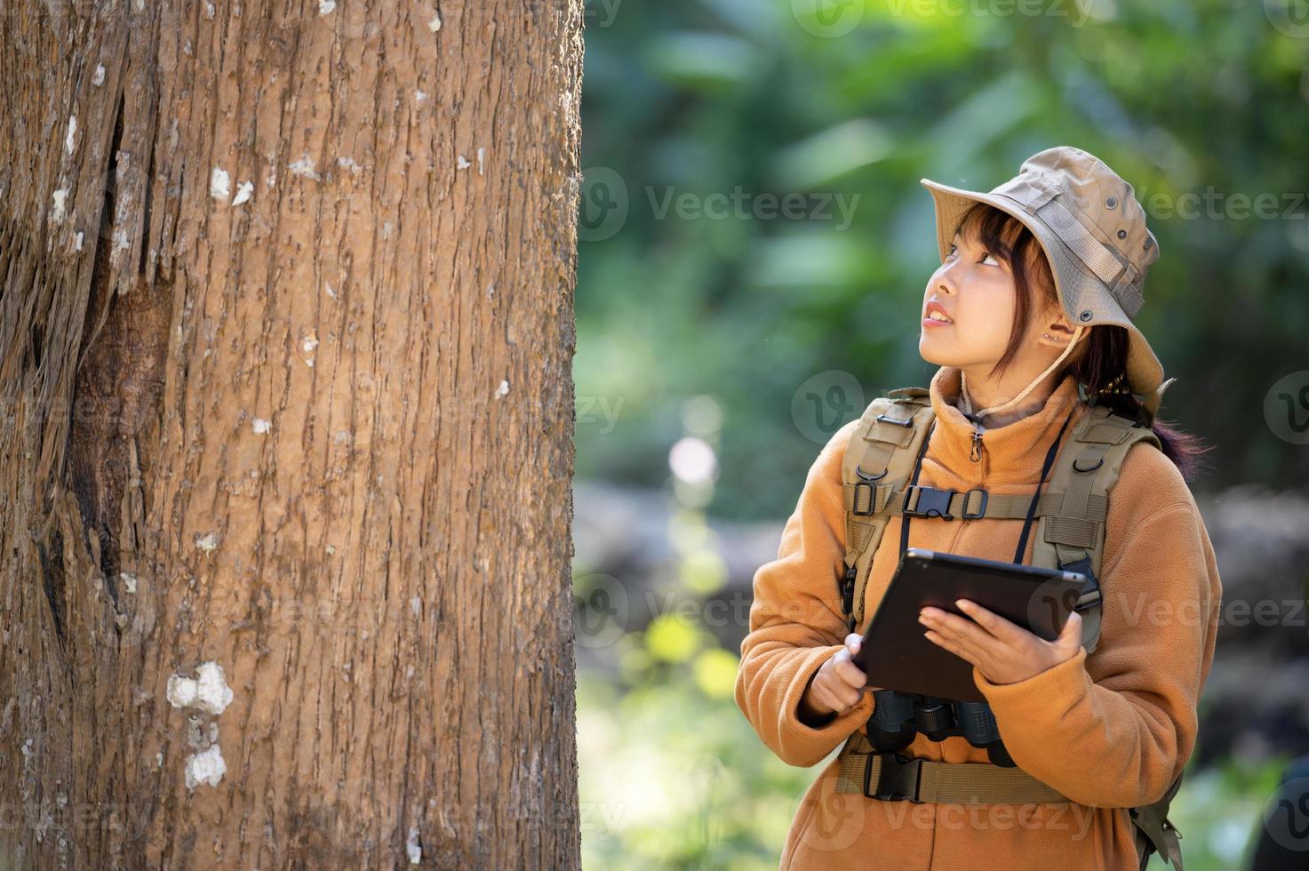 Young tourist woman in a yellow coat hugging a tree in the forest of eco love looking up at the treetops Young Asian woman examining a big ecological tree photo