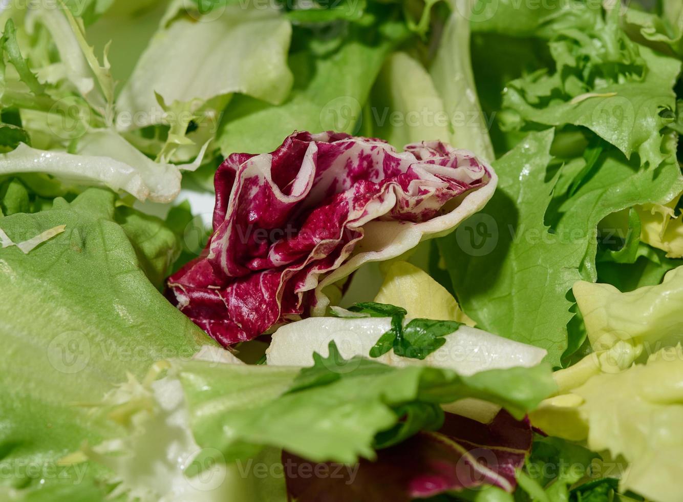 mezcla de hojas de lechuga escariole, frisee, radicchio, rúcula sobre un fondo blanco aislado, comida dietética saludable. foto