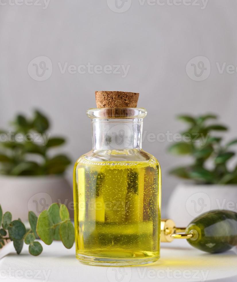 Transparent glass bottle with yellow oil and eucalyptus branch, cosmetic product photo