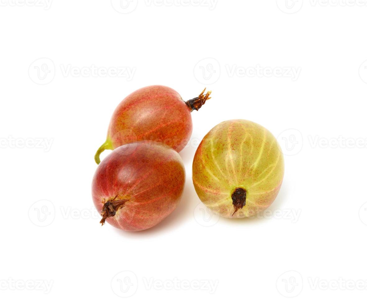 three ripe red and green gooseberries isolated on white background photo