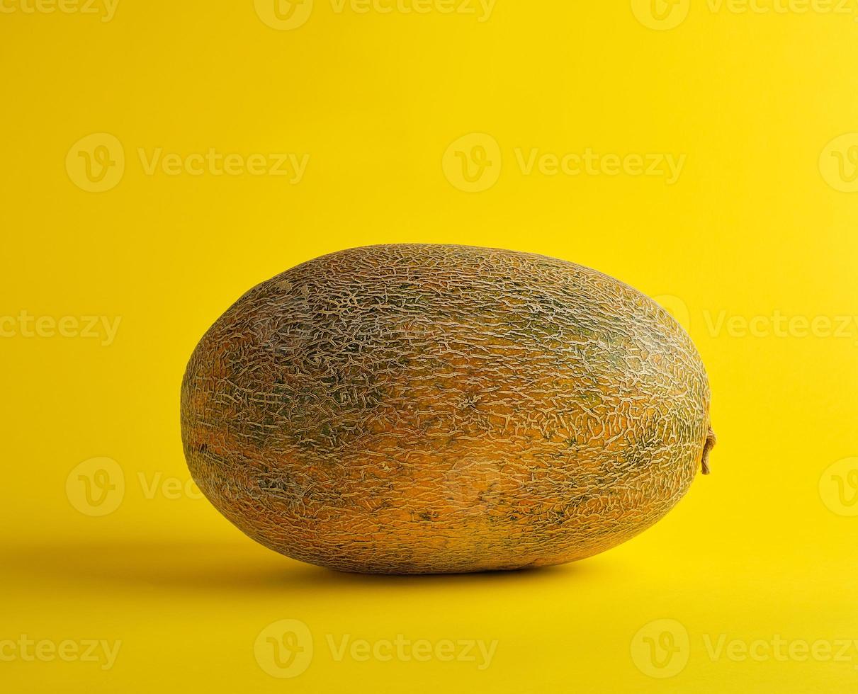 whole ripe melon on a yellow background, summer fruit photo