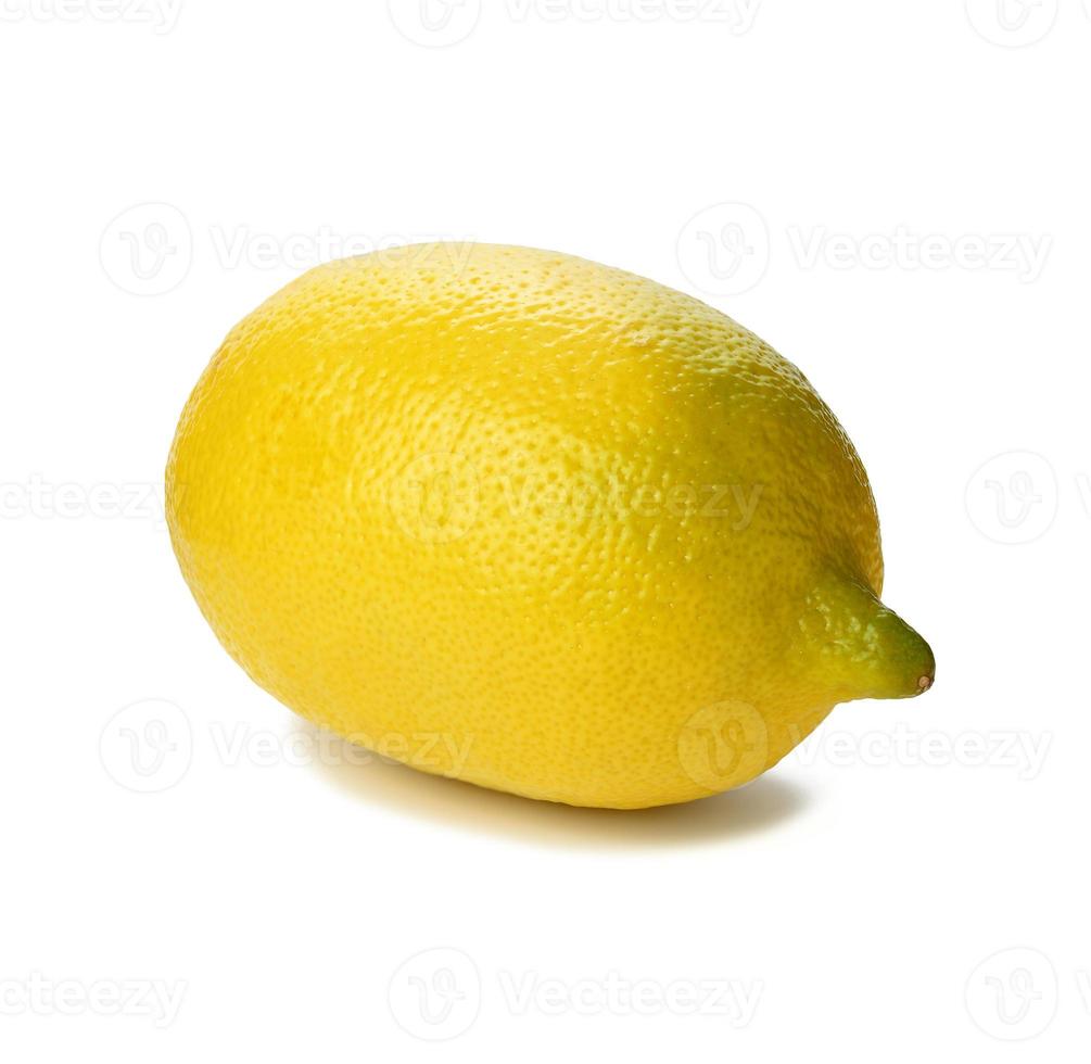 round yellow lemon isolated on white background photo