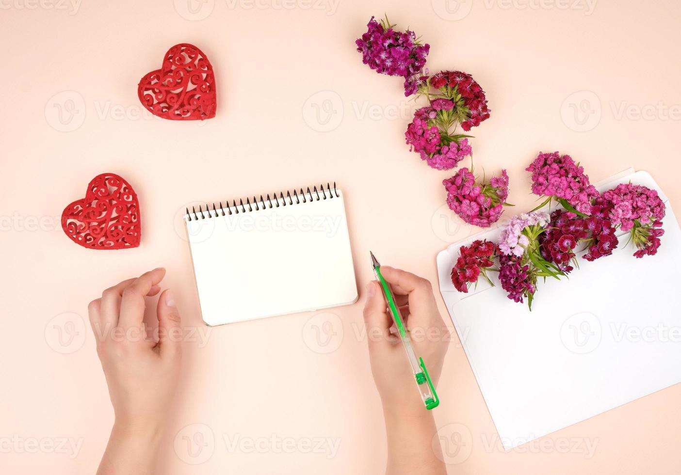 two female hands and an open spiral notebook with white blank sheets photo
