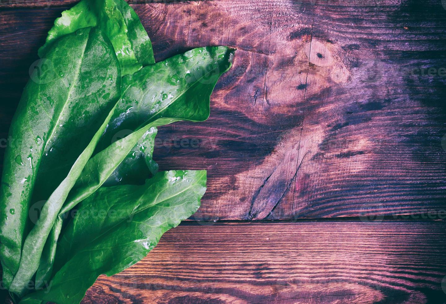 bunch of green sorrel photo