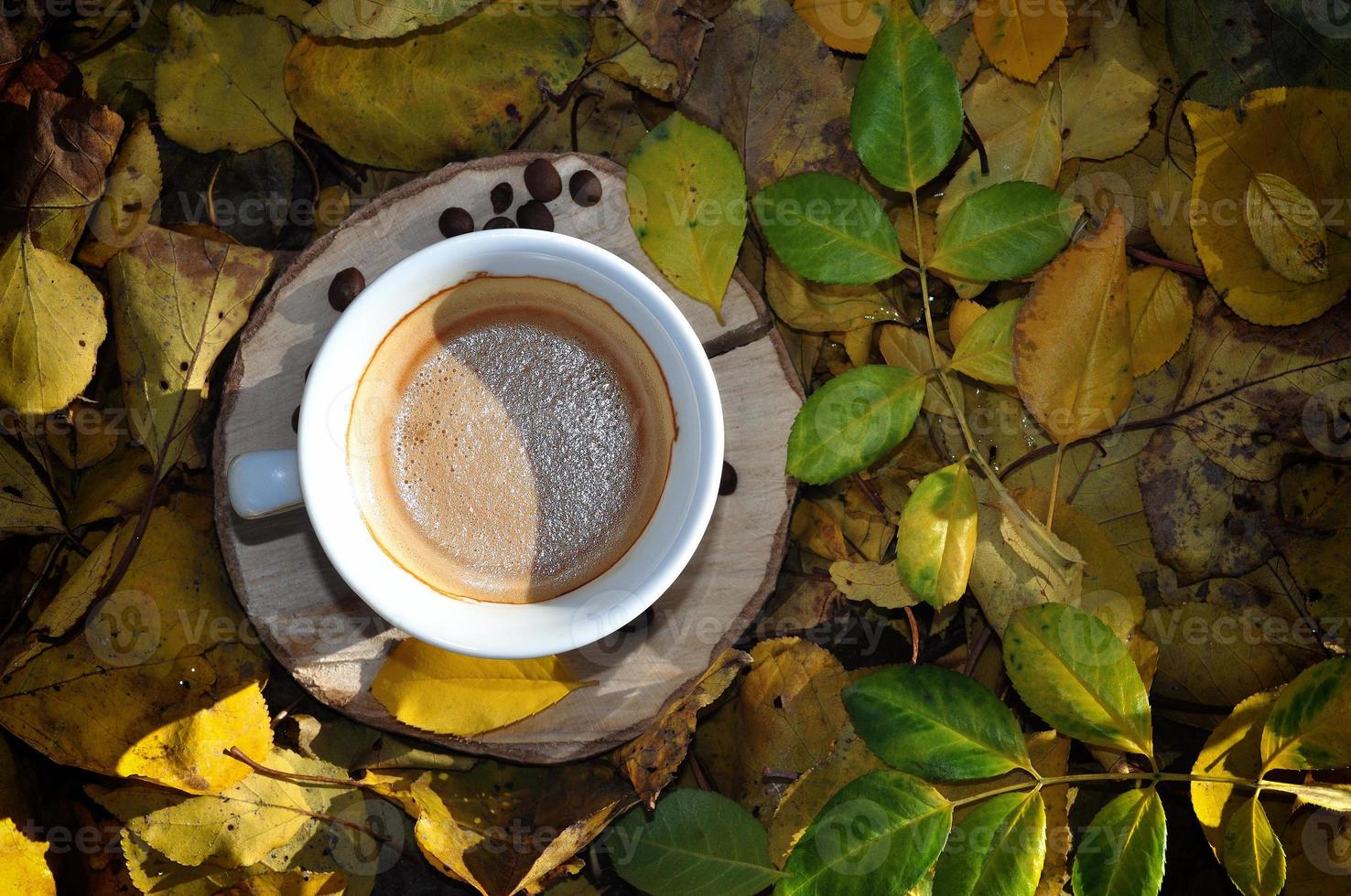 taza de café en un tocón de madera entre hojas amarillas caídas foto