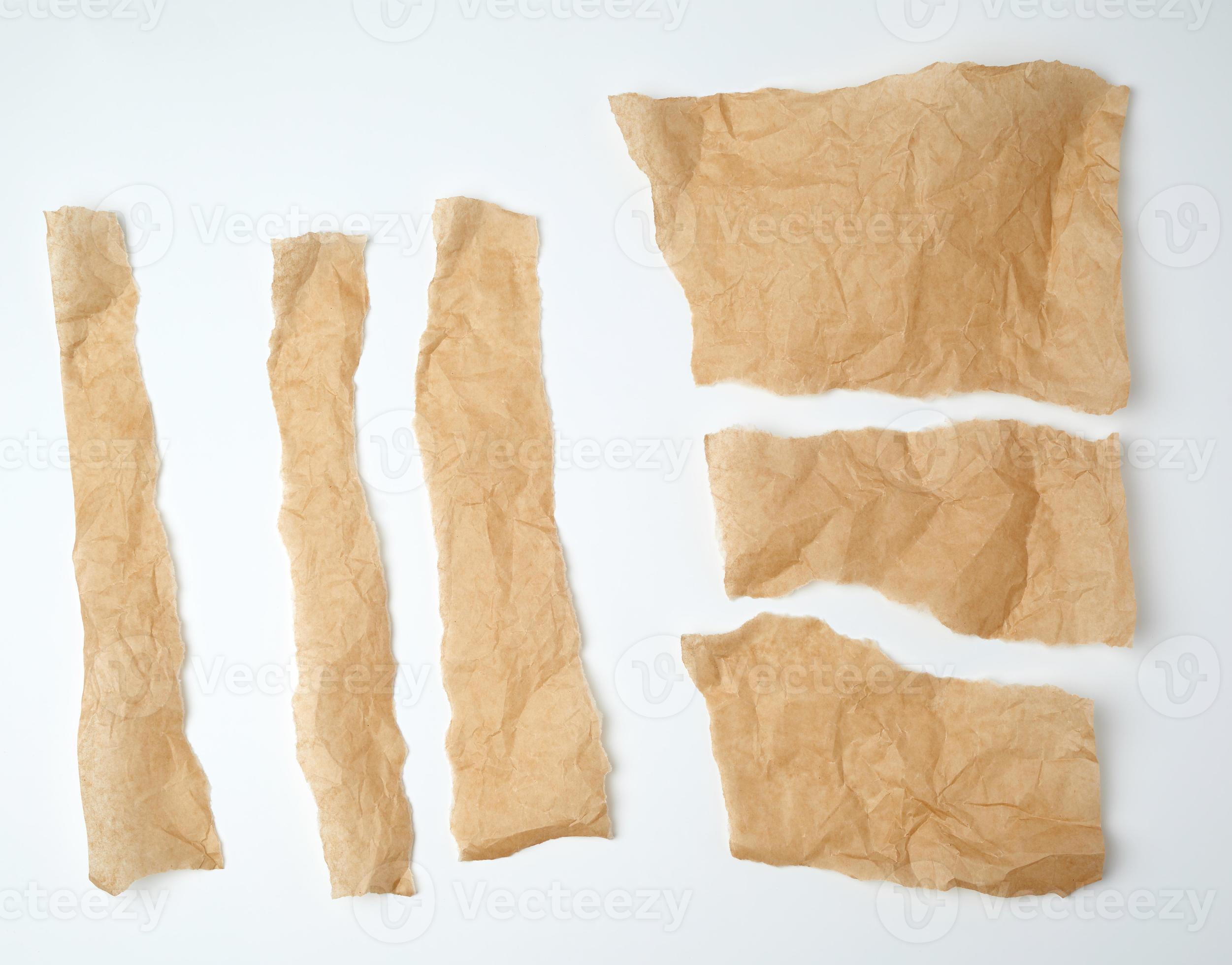 Piece Brown Parchment Paper Torn Edges Isolated White Background Bend Stock  Photo by ©PantherMediaSeller 503223852