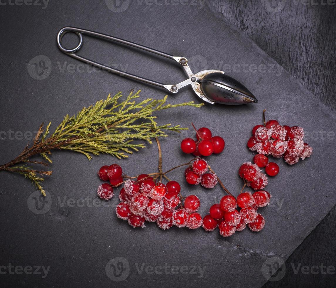 ripe red berries of the viburnum is sprinkled with sugar photo