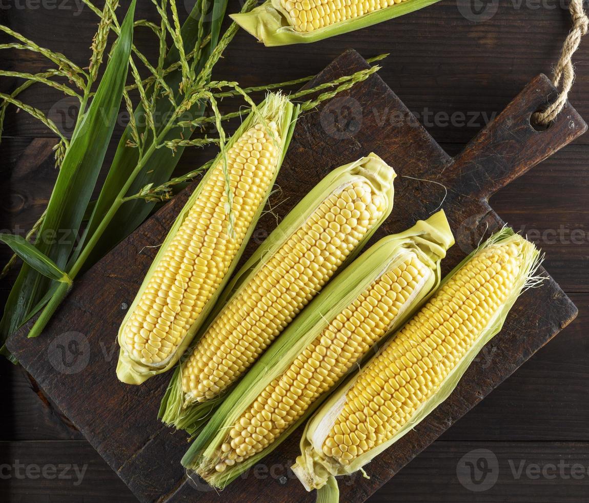 fresh ripe corn cobs on a brown wooden board photo