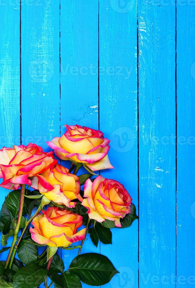 bouquet of yellow roses on a blue wooden background photo