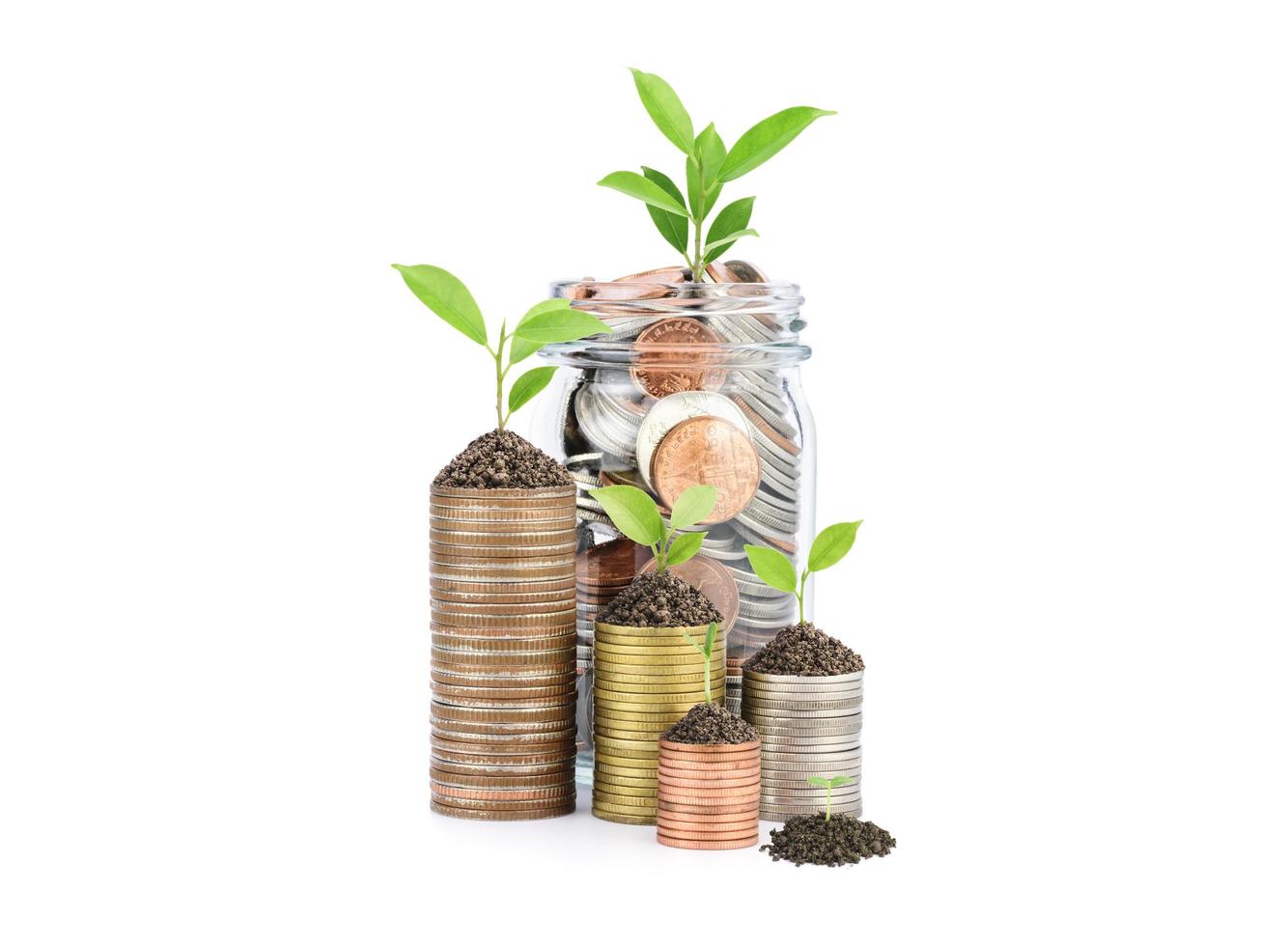 Coins and plants are planted on a pile of coins. Ideas for investment finance Banking business growth, savings and productivity on white background photo