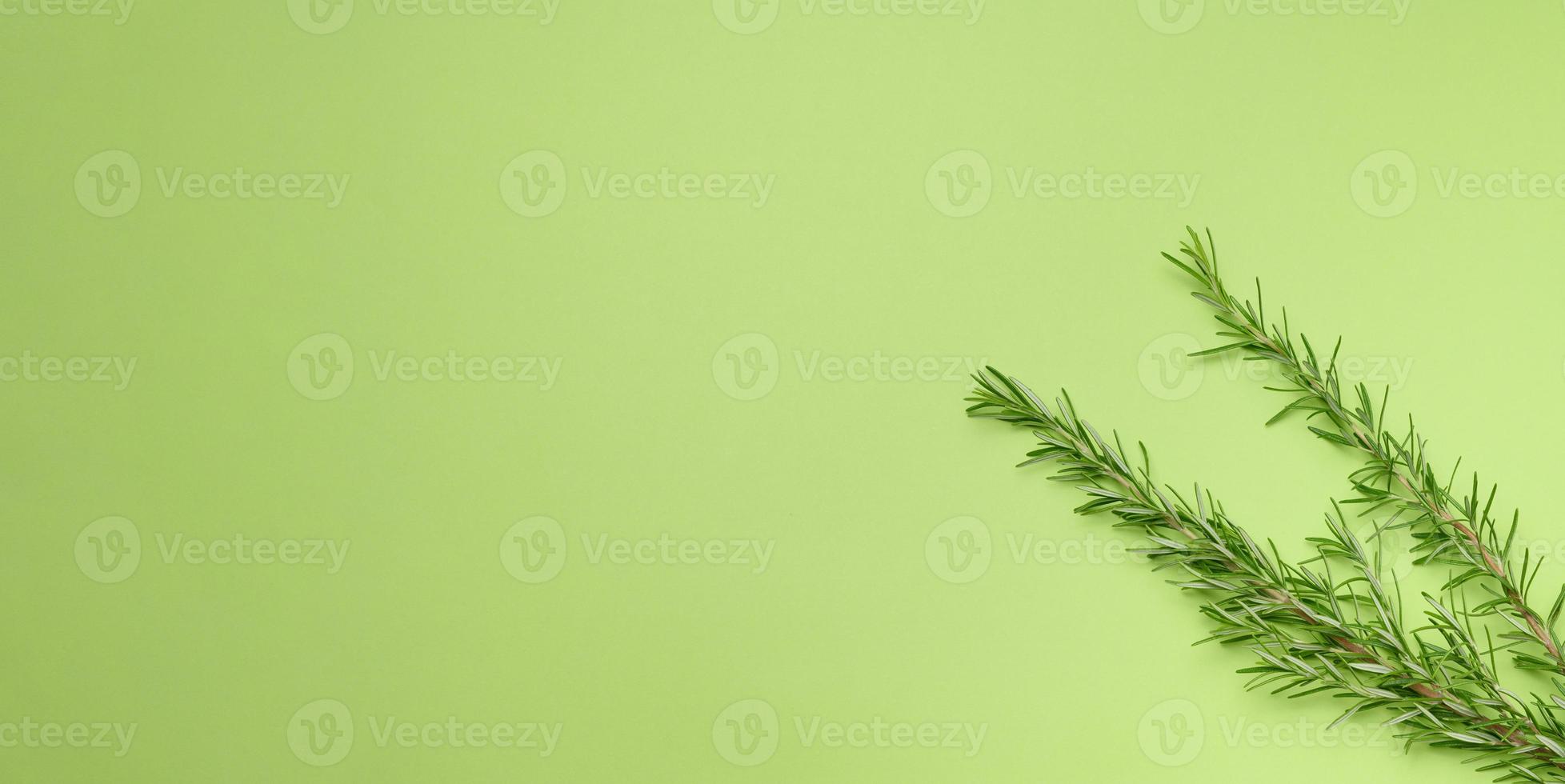 Fresh branches of rosemary with green leaves on a green background. Spice for meat, fish. photo