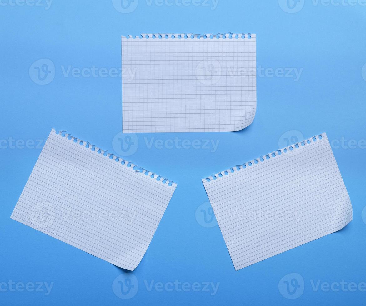 three blank sheet of paper with curved corners on a blue background, the sheets into the cell photo