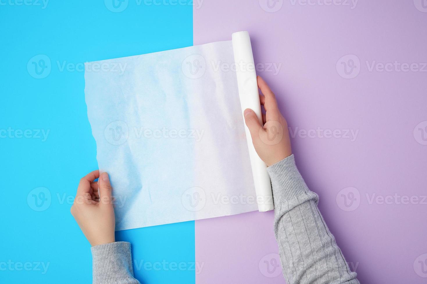 dos manos femeninas sosteniendo un rollo de papel para hornear pergamino blanco foto