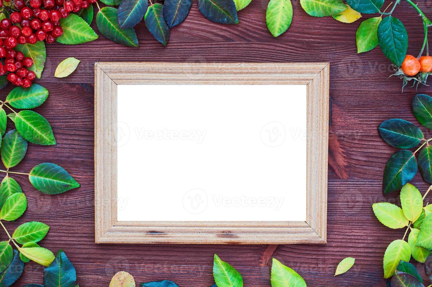 Empty picture frame around the yellow and green leaves photo