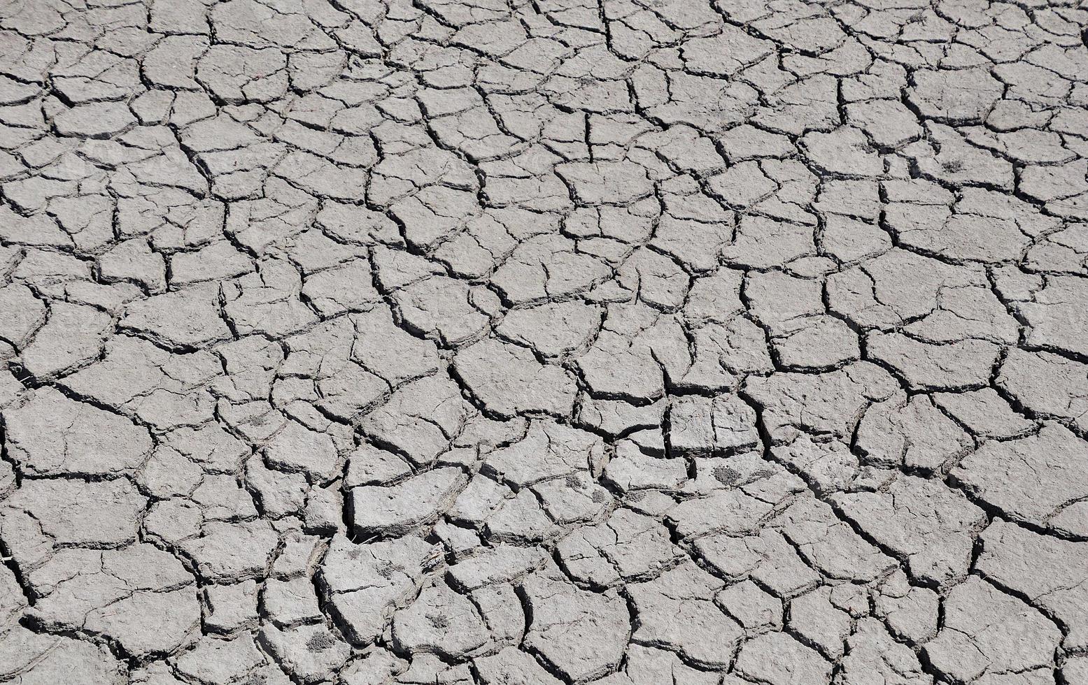 cracked by drought the ground photo