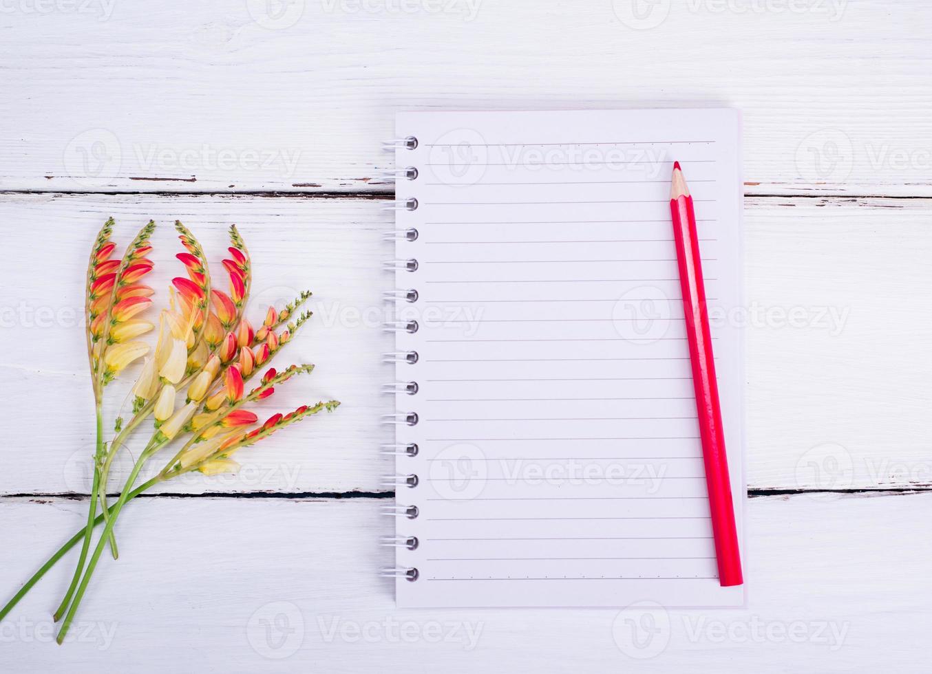 cuaderno vacío en una línea y un lápiz rojo foto