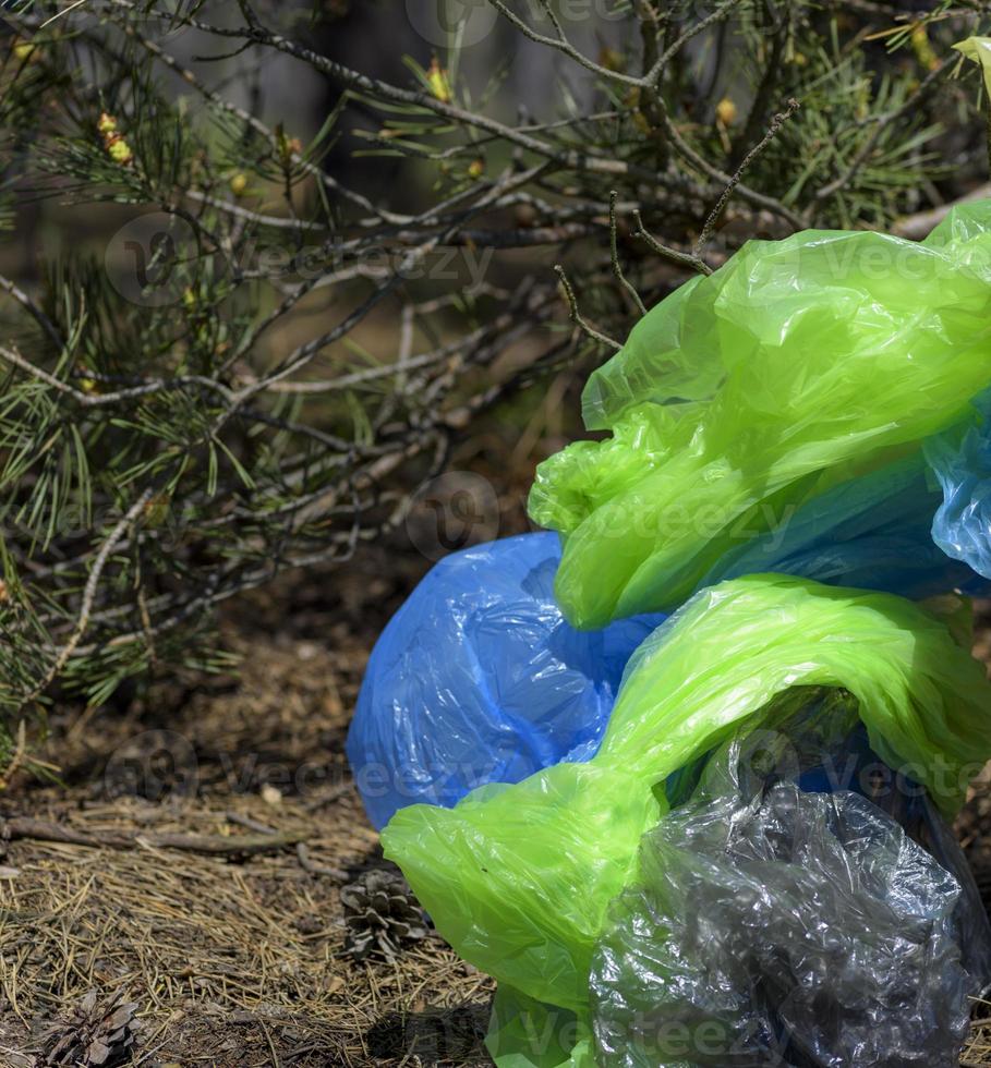 a pile of crumpled transparent empty plastic bags lies under a tree photo