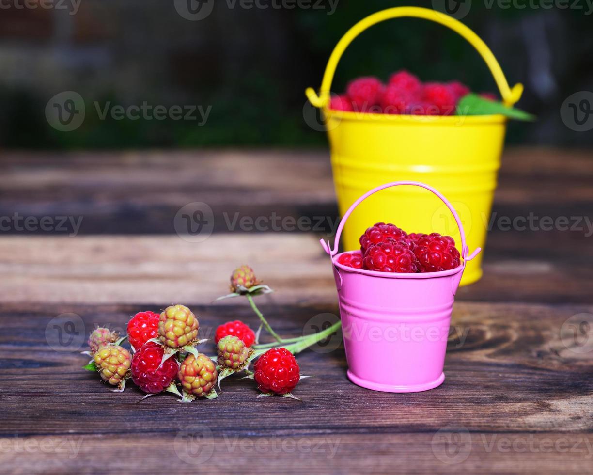 Ripe red raspberry in a bucket photo