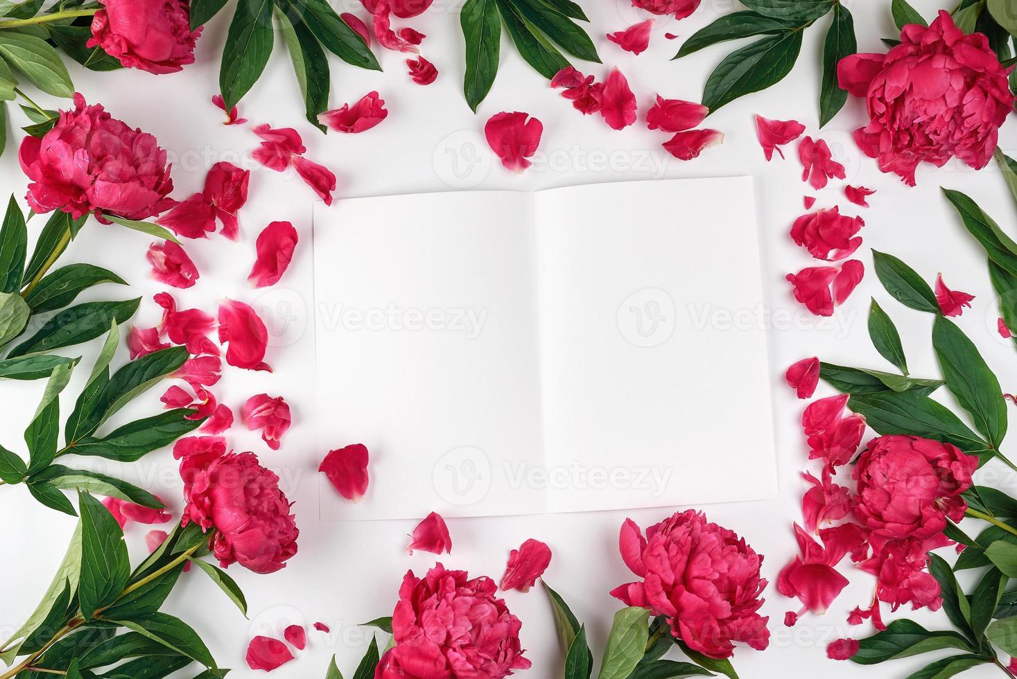 white empty sheet of paper photo