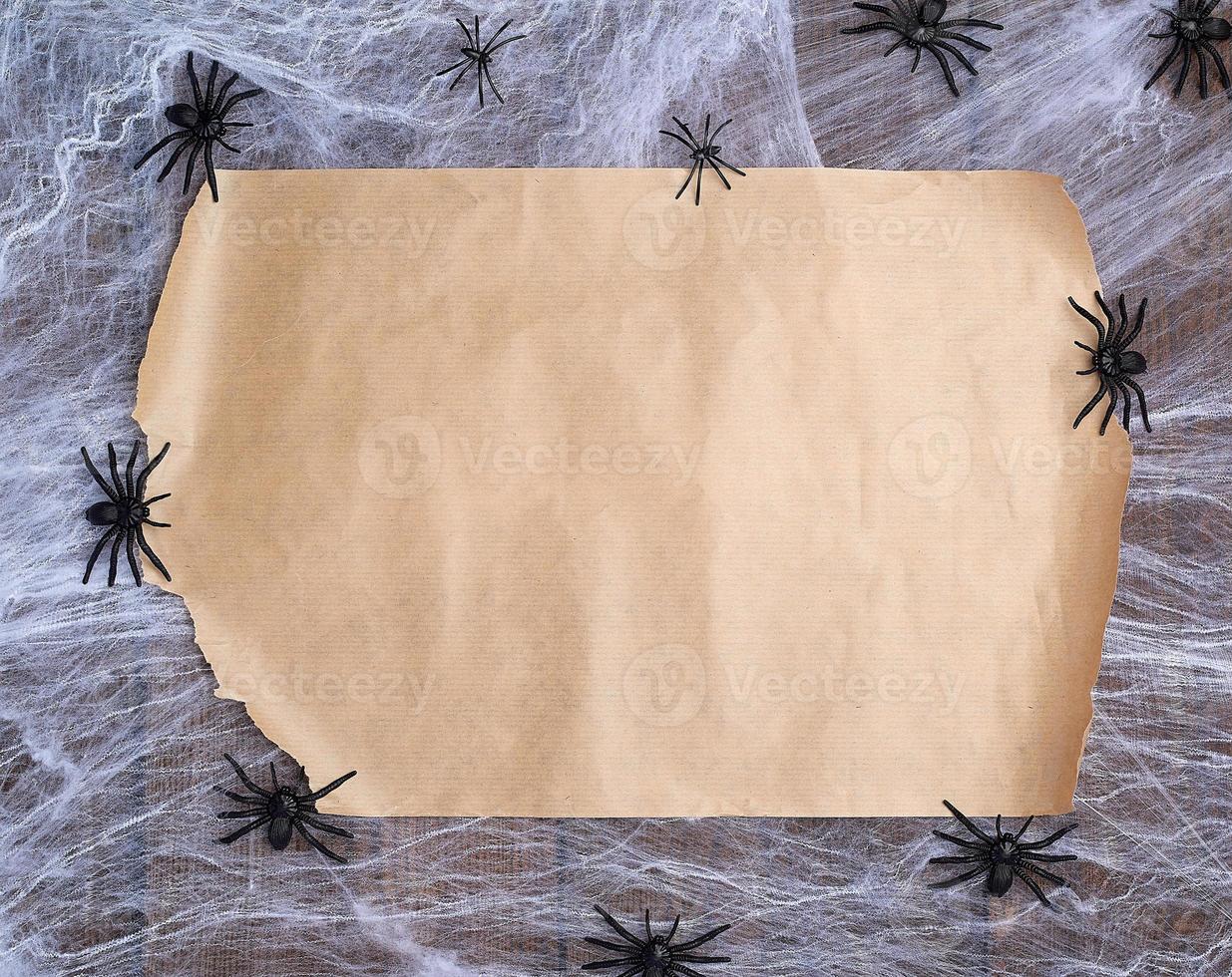 untwisted brown paper on a white web and black spiders, empty place for writing photo