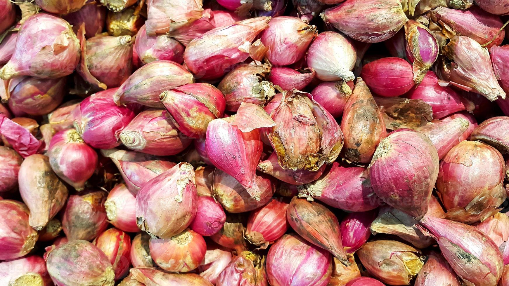 Pile of fresh red onions. Fresh shallots. photo