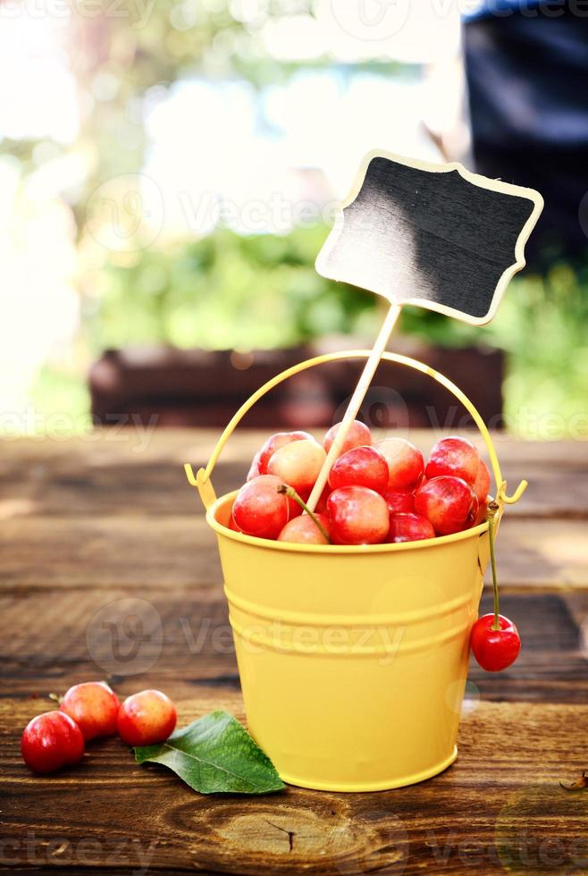 Full iron bucket with ripe pink cherry photo