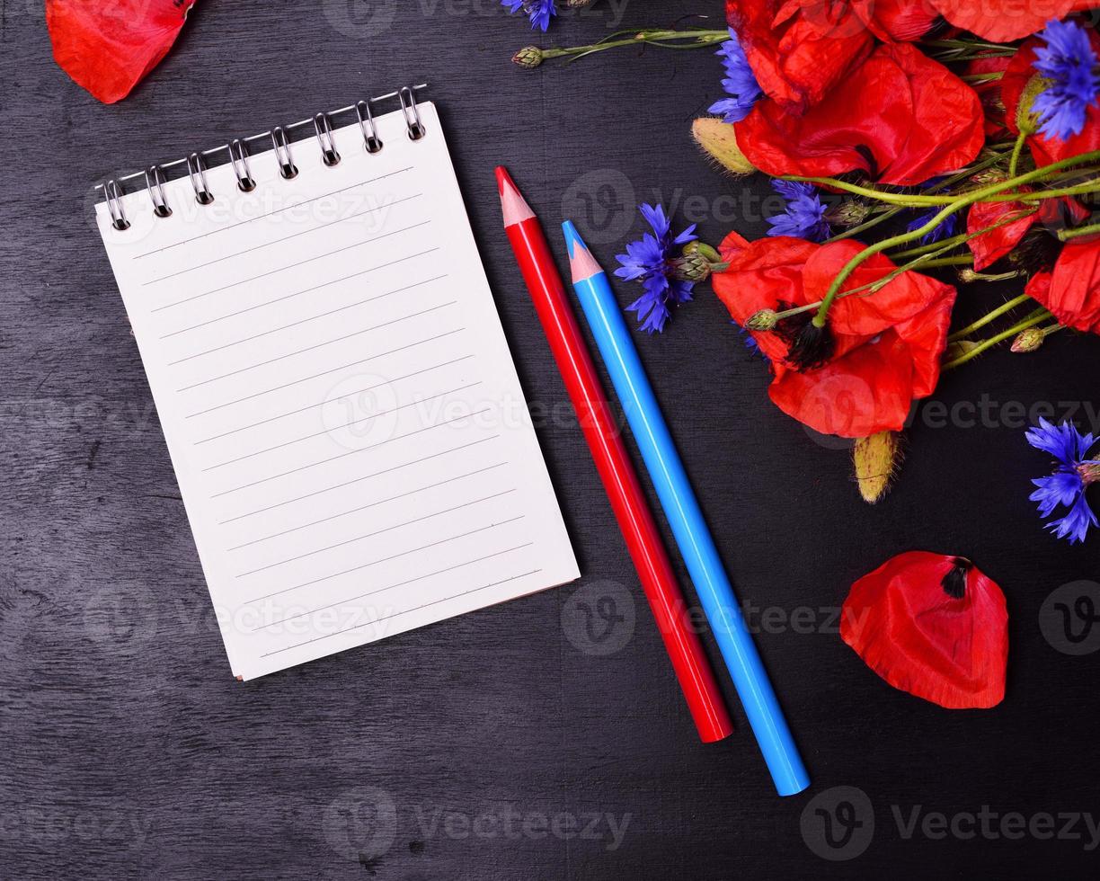 blank open notebook in a line photo