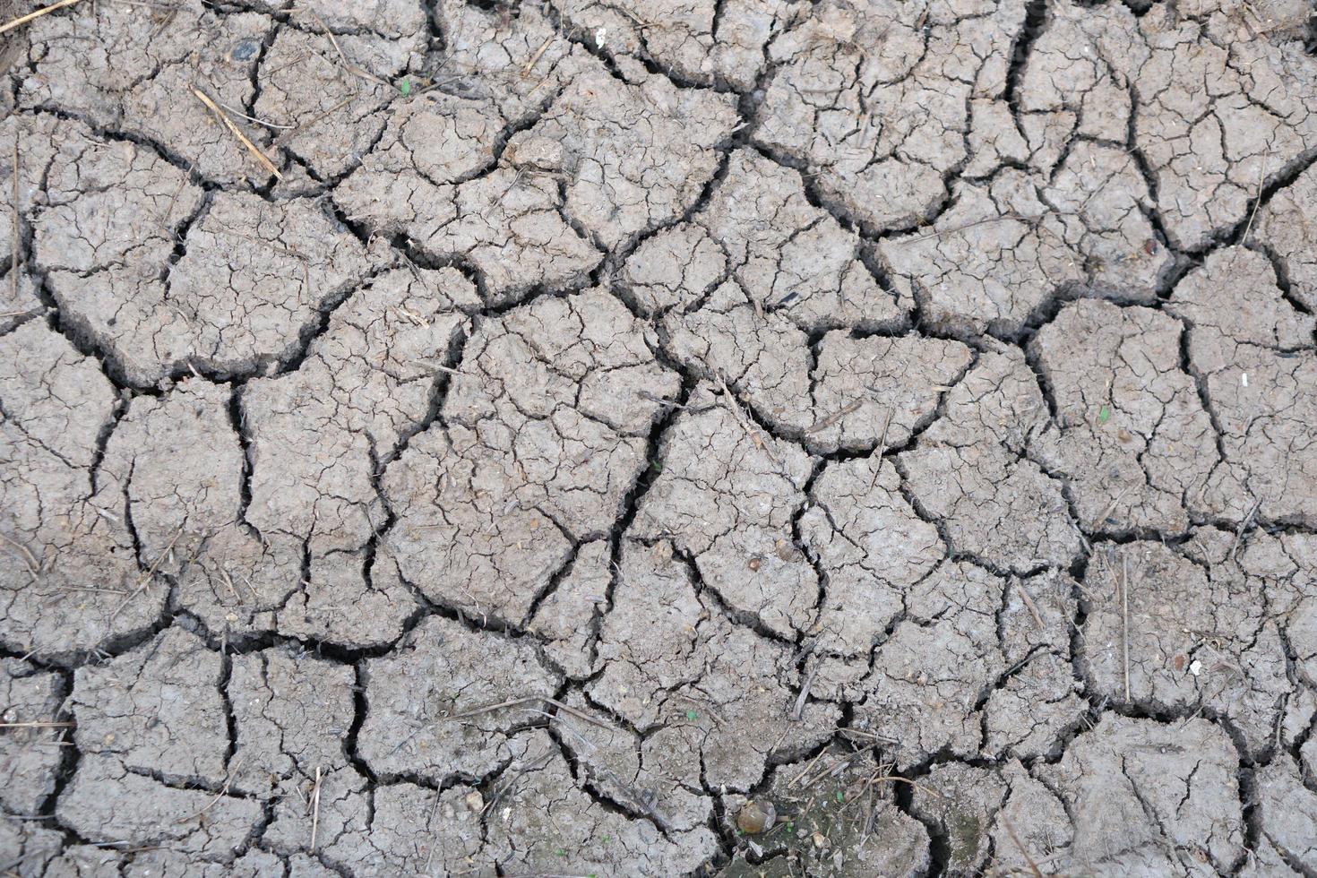 The ground cracks in the dry season. photo