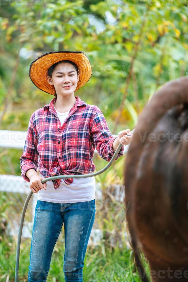 Portrait of Happy young Asian farmer woman wearing hat working to clean cow in farm. Agriculture industry, farming, people, technology and animal husbandry concept. photo