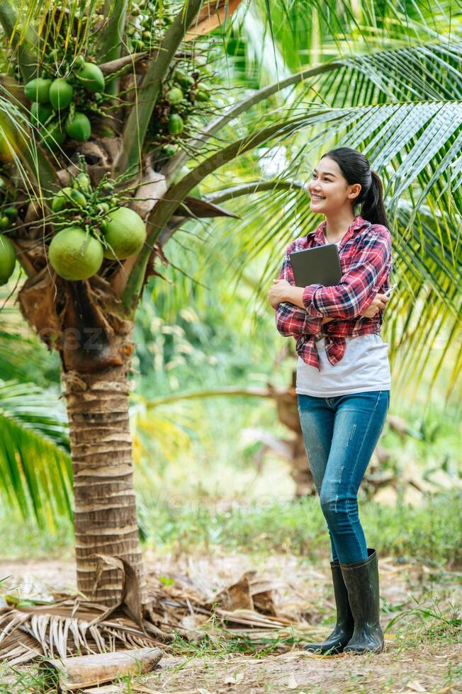 retrato de una joven agricultora asiática feliz que verifica la calidad del coco en la granja y usa una tableta para tomar pedidos en línea para los clientes. conceptos agrícolas y tecnológicos. foto