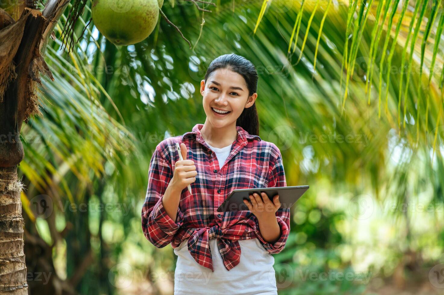 Portrait of Happy Asian young  farmer woman check quality of coconut in farm and using tablet computer to take orders online for customers. Agricultural and technology concepts. photo