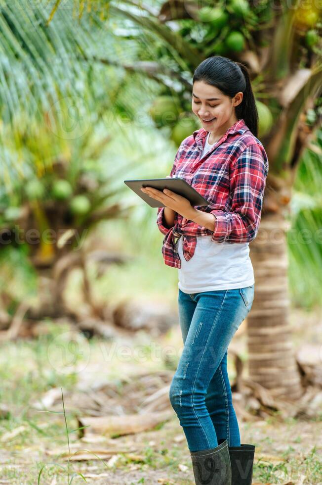 retrato de una joven agricultora asiática feliz que verifica la calidad del coco en la granja y usa una tableta para tomar pedidos en línea para los clientes. conceptos agrícolas y tecnológicos. foto