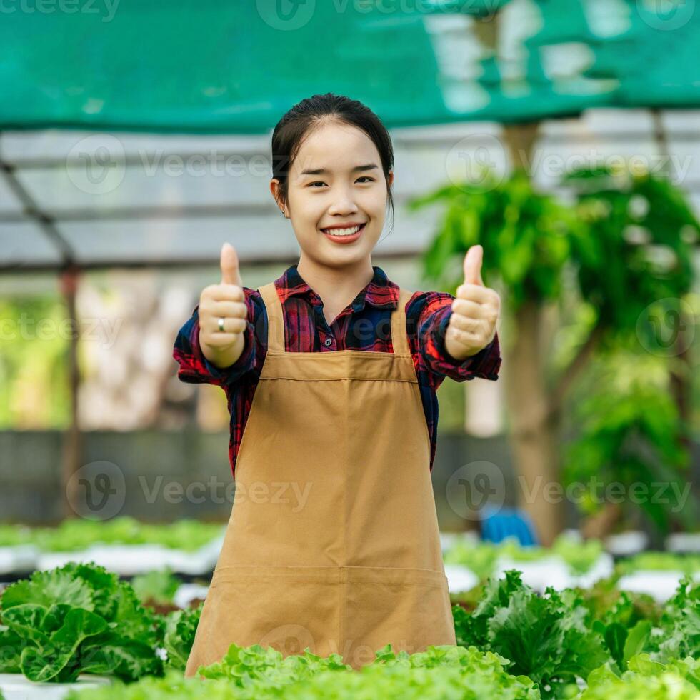 Young Asian girl farmer showing thumb up with fresh green oak lettuce salad, organic hydroponic vegetable in nursery farm. Business and organic hydroponic vegetable concept. photo