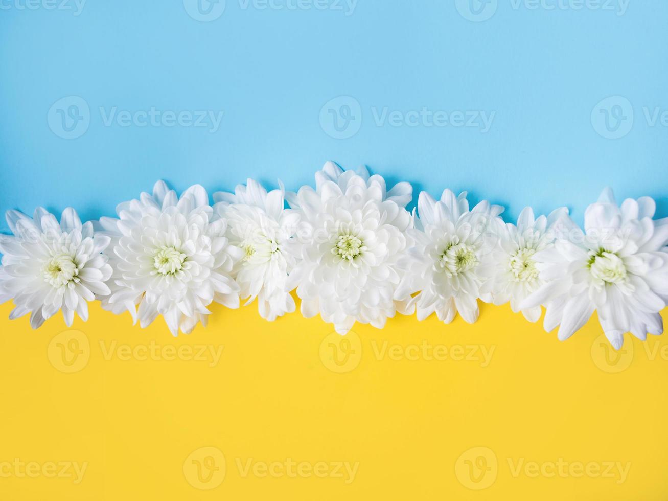 Blue and yellow background with white flowers on it. Stand with Ukraine photo