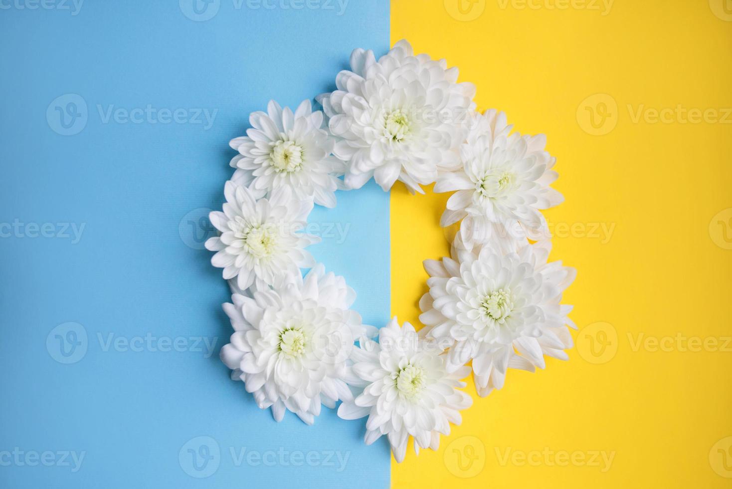 Blue and yellow background with white flowers on it. Stand with Ukraine photo