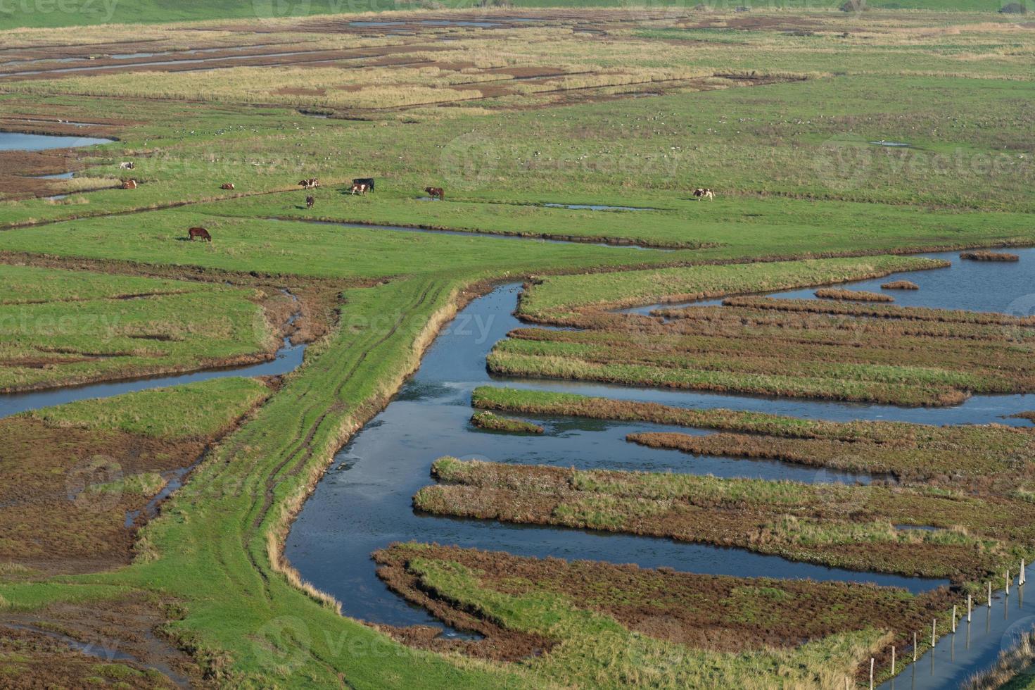 Overview from the wetlands in Burgh-Haamstede, from the Plompe tower. Zeeland, The Netherlands. photo