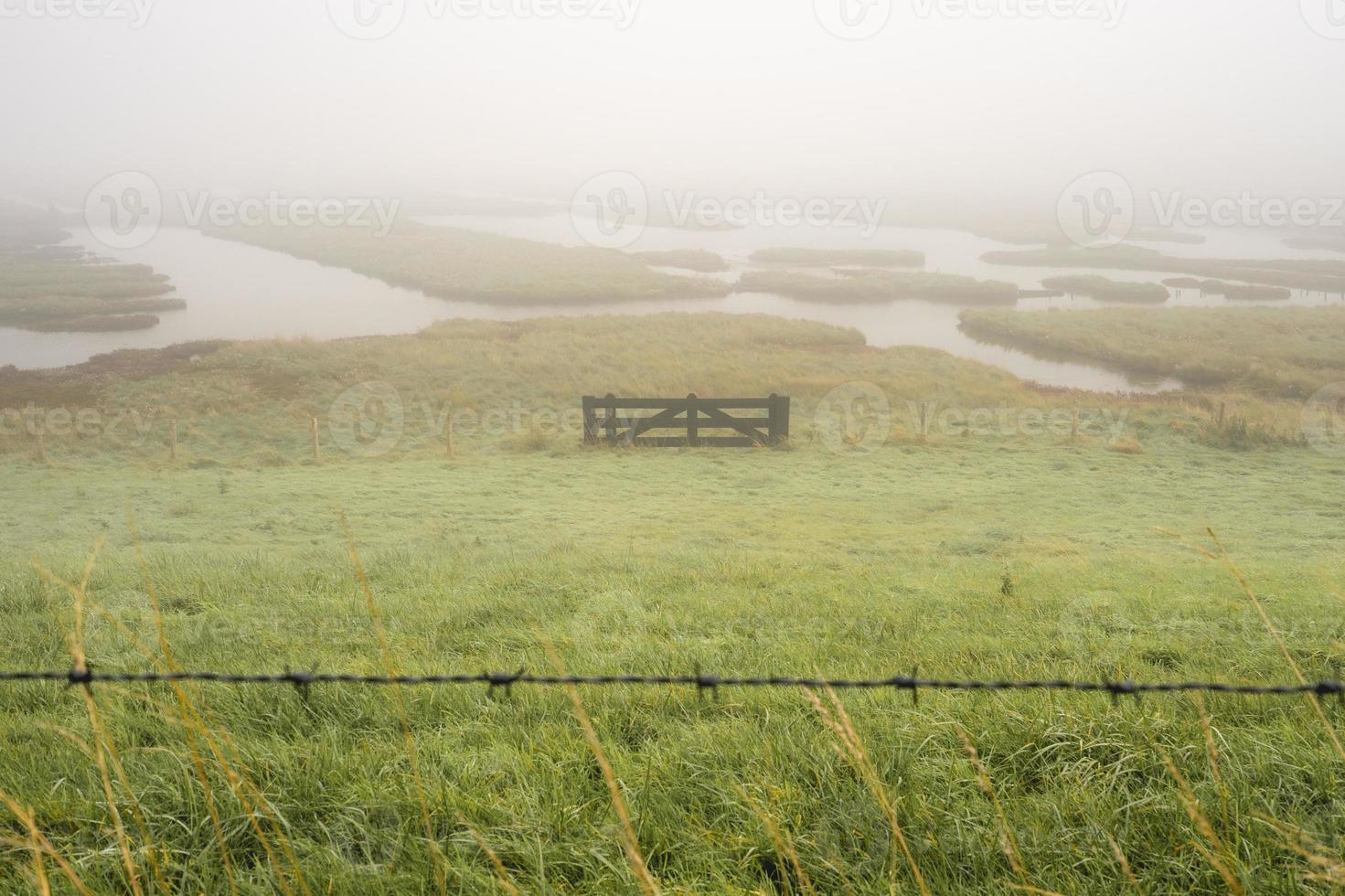 Foggy day over the wetlands, Burgh-Haamstede, Zeeland, The Netherlands. photo