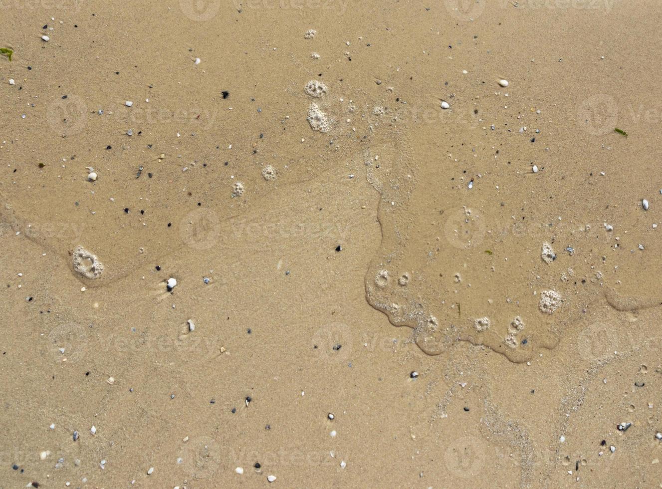 texture of yellow wet sea sand photo