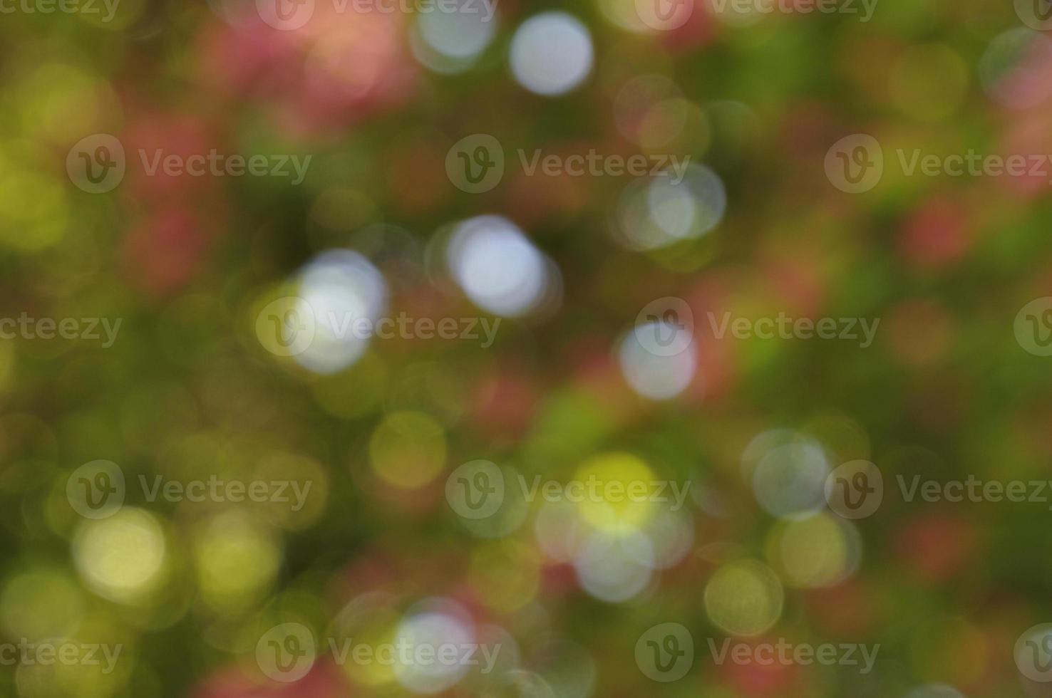 Abstract background boke photo