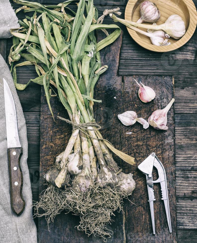 a bunch of young garlic with leaves photo