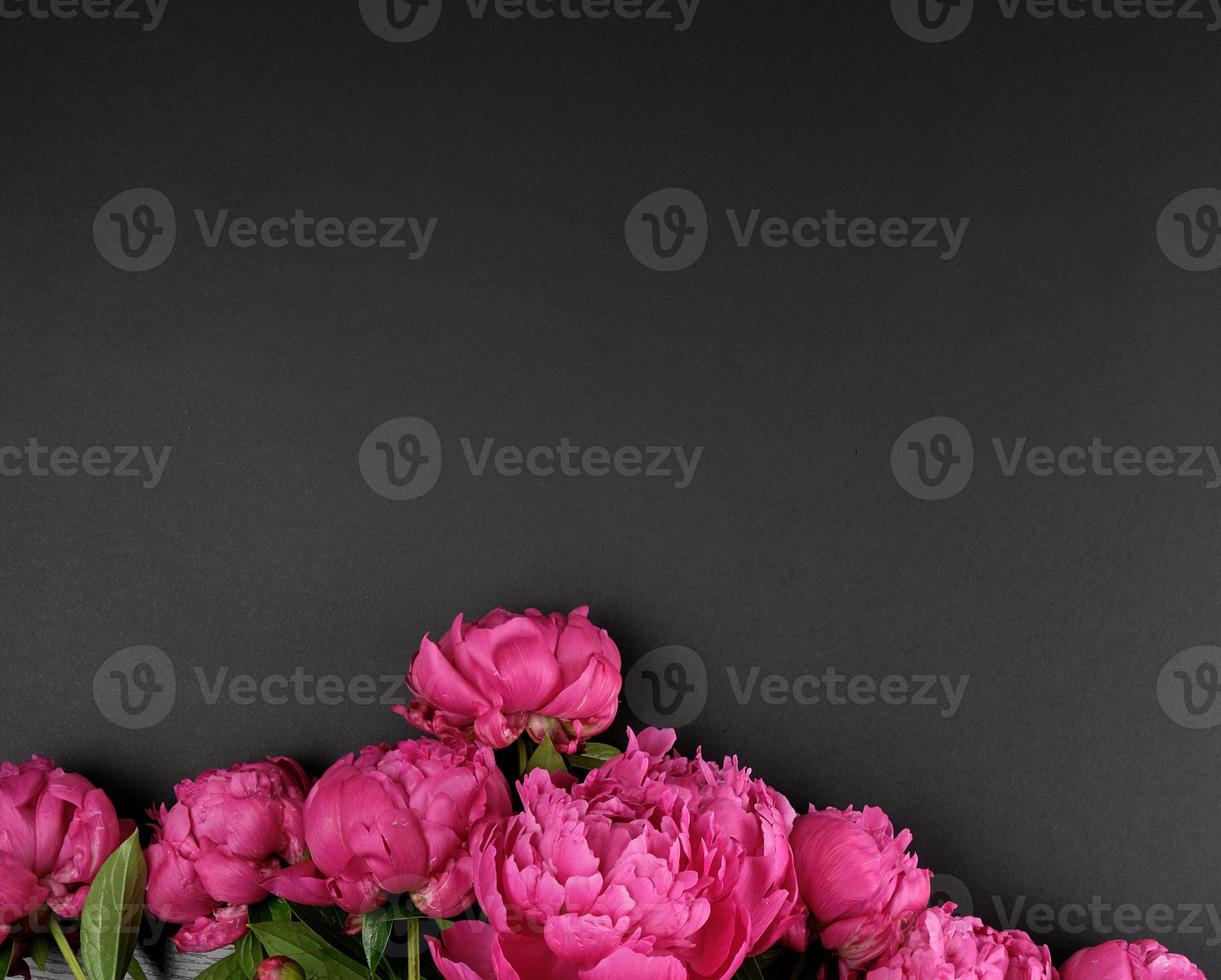 bunch of red peonies with green leaves on a black background photo