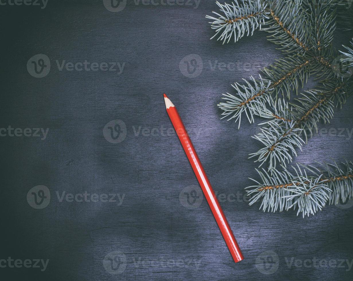 red wooden pencil and a green twig of a fir tree photo