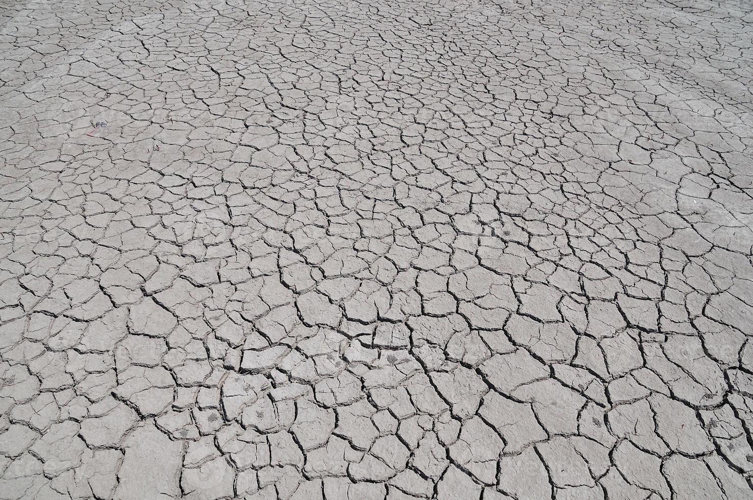 tierra agrietada por sequía foto