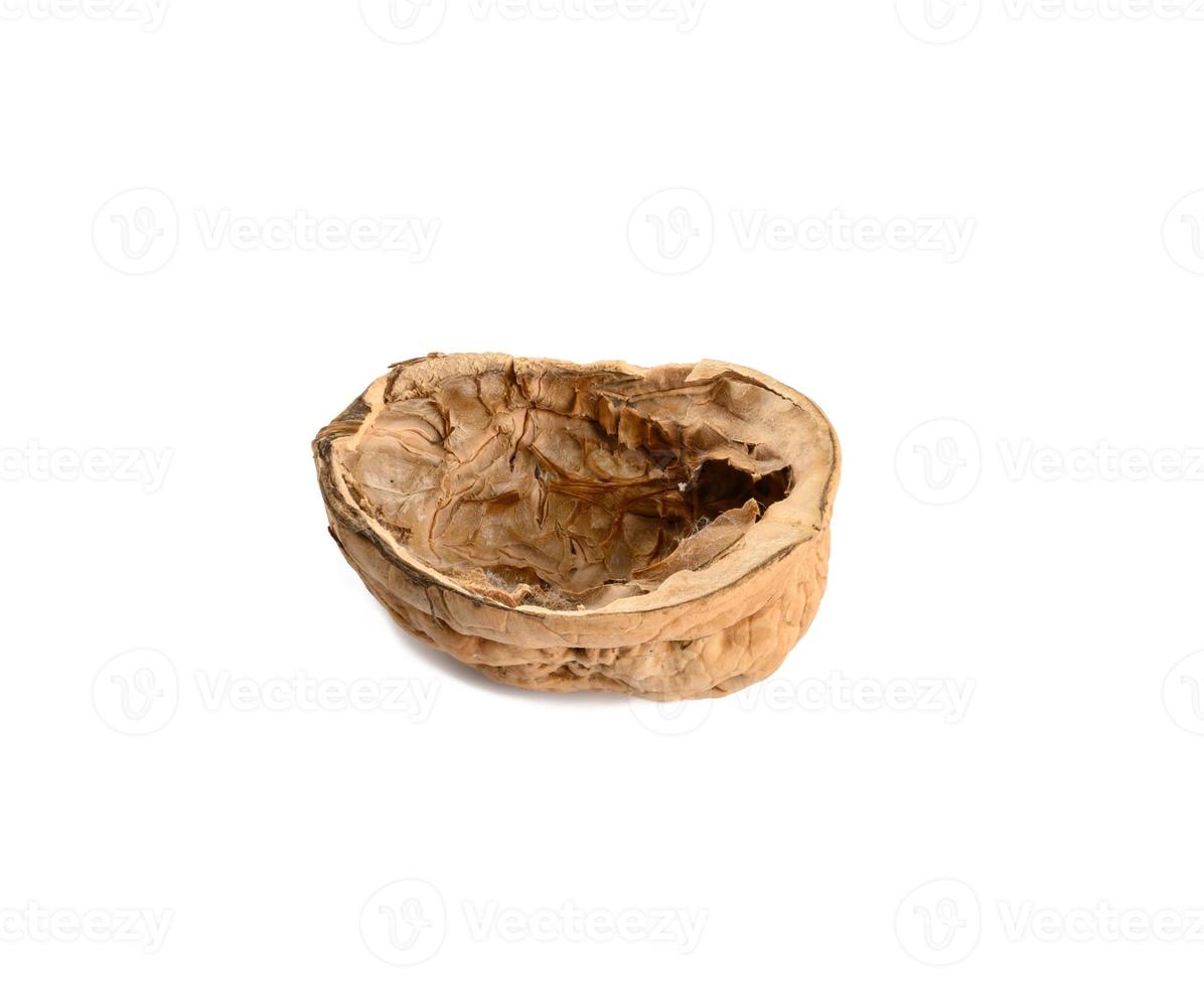 walnut shell isolated on white background photo