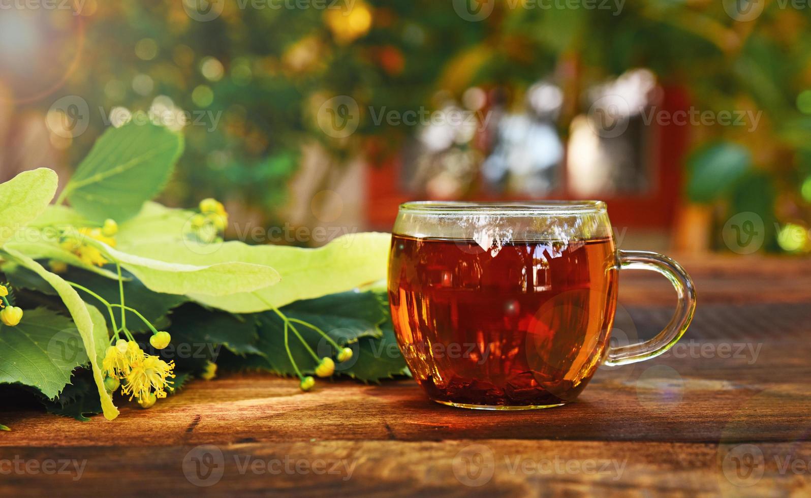 Transparent mug with tea and a lime tree branch photo