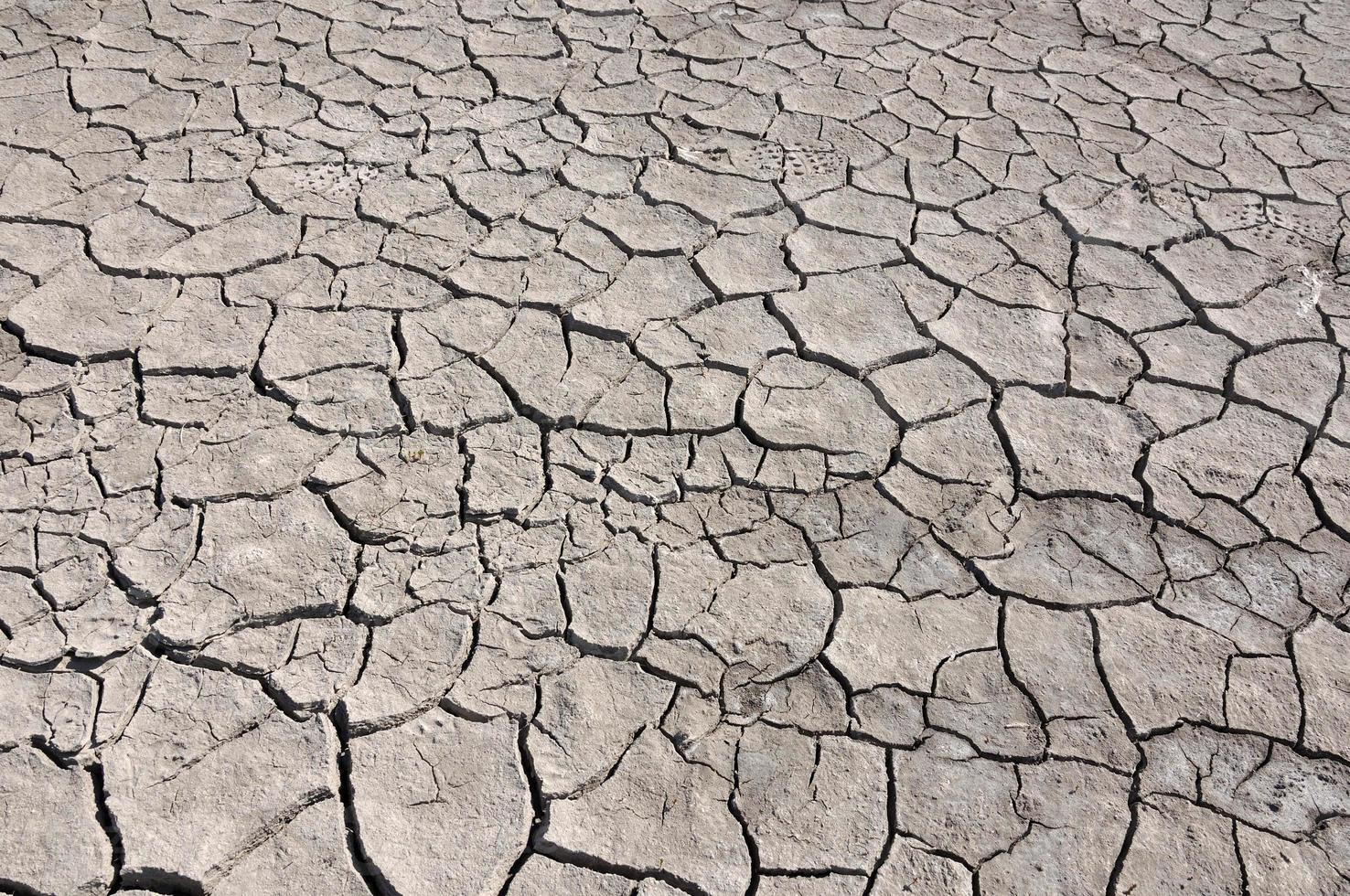 agrietado por la sequía el suelo foto