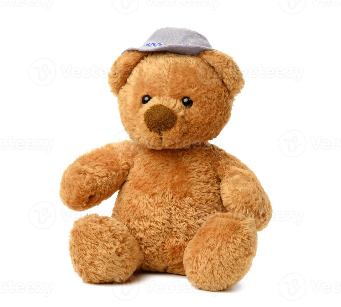 brown teddy bear in a felt hat sits on a white isolated background photo