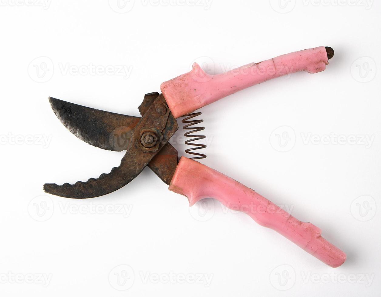 very old pruner with rusty blades, red plastic handles photo