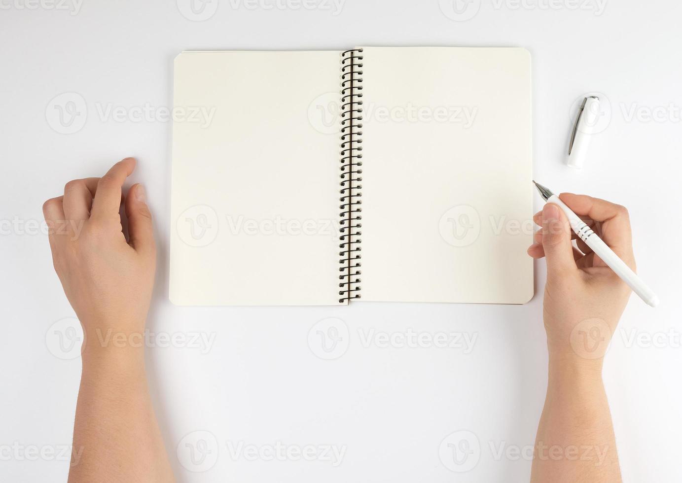 two female hands holding open notepad with clean sheets photo
