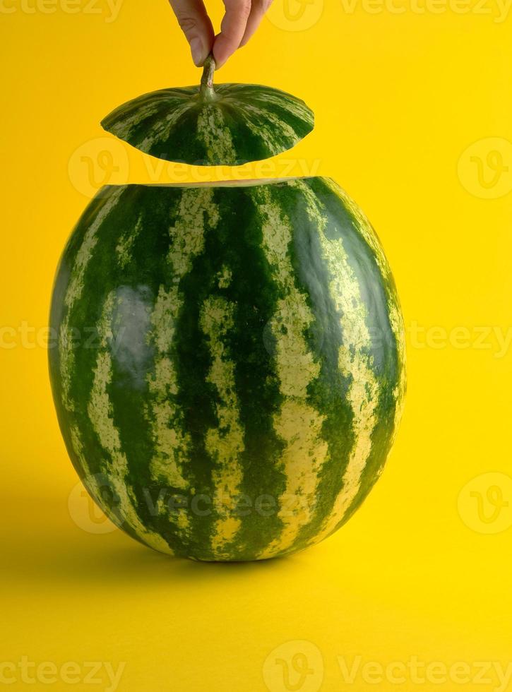 big ripe oval green watermelon and a female hand holds a cut piece photo